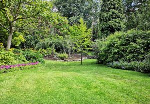 Optimiser l'expérience du jardin à Montlognon