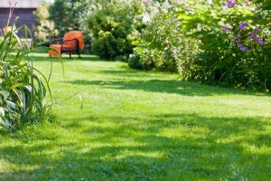 travaux jardin et paysage Montlognon